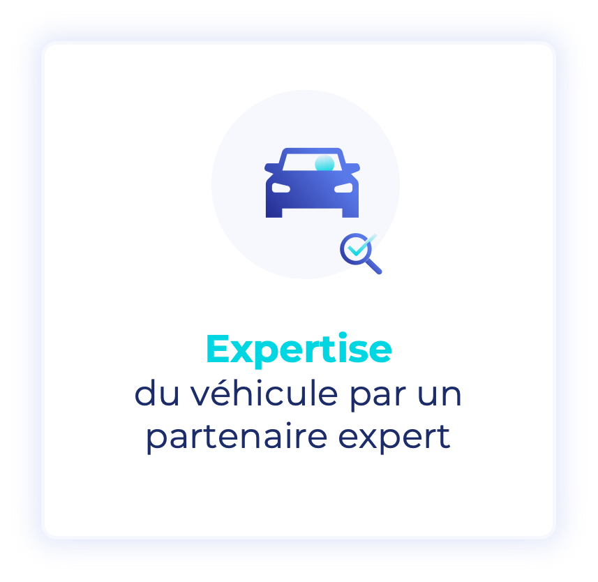 7 Service expertise.png
