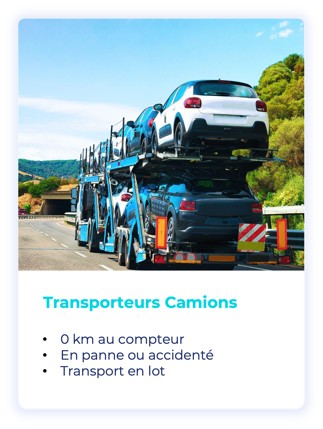 transporteurs camion(1).png